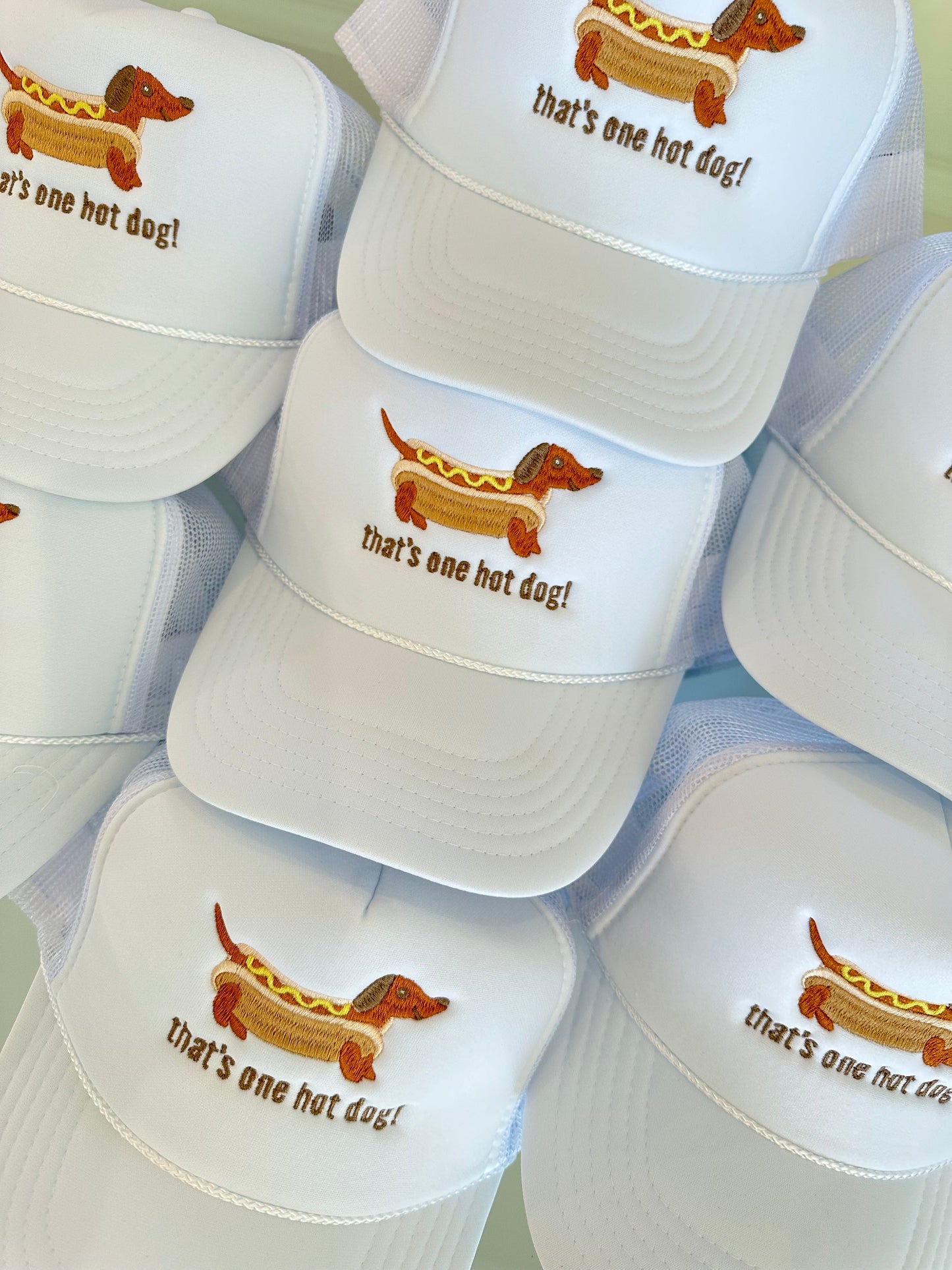 HOT DOG HAT